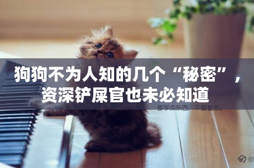 狗狗不為人知的幾個“秘密”，資深鏟屎官也未必知道 