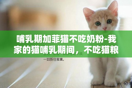 哺乳期加菲貓不吃奶粉-我家的貓哺乳期間，不吃貓糧怎么辦
