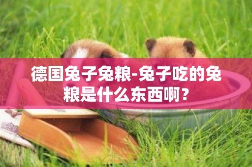 德國兔子兔糧-兔子吃的兔糧是什么東西啊？