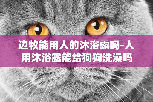 邊牧能用人的沐浴露嗎-人用沐浴露能給狗狗洗澡嗎
