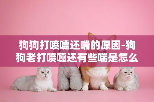狗狗打噴嚏還喘的原因-狗狗老打噴嚏還有些喘是怎么回事