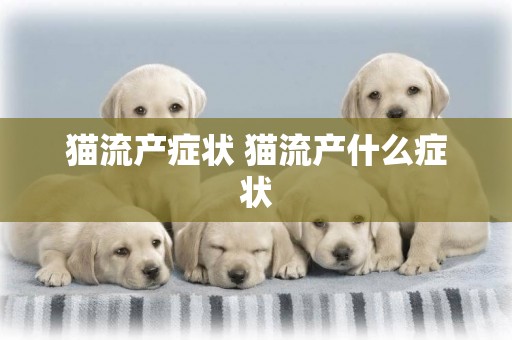 貓流產癥狀 貓流產什么癥狀