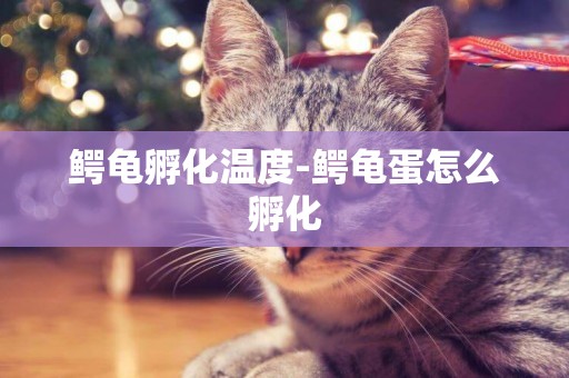 鱷龜孵化溫度-鱷龜蛋怎么孵化