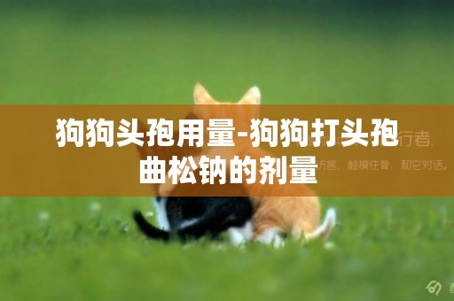 狗狗頭孢用量-狗狗打頭孢曲松鈉的劑量