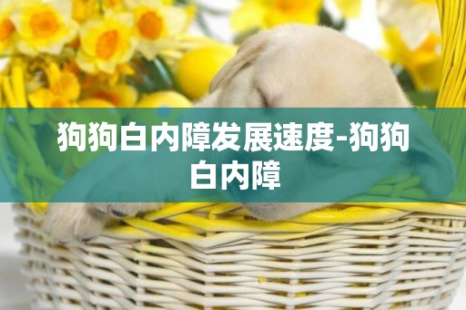 狗狗白內障發展速度-狗狗白內障