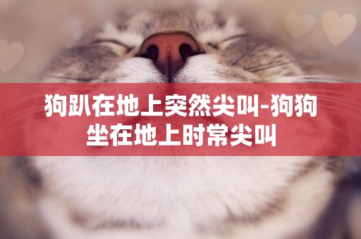 狗趴在地上突然尖叫-狗狗坐在地上時常尖叫