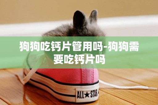 狗狗吃鈣片管用嗎-狗狗需要吃鈣片嗎