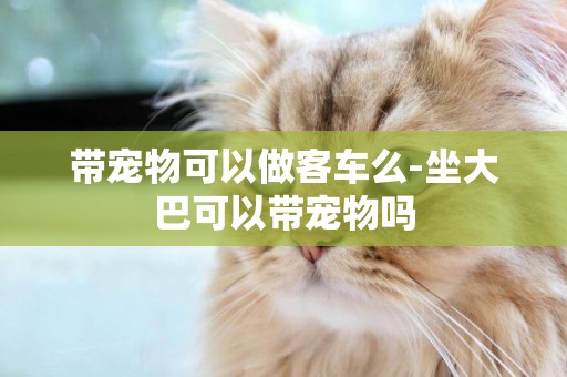 帶寵物可以做客車么-坐大巴可以帶寵物嗎