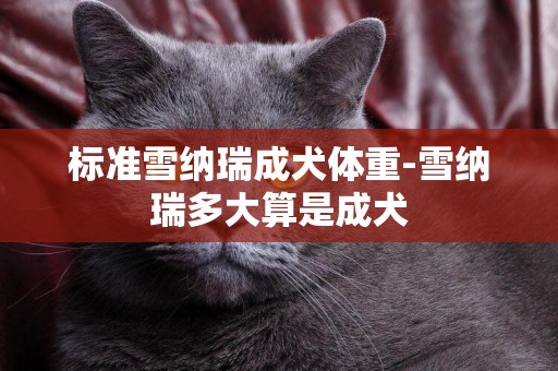 標準雪納瑞成犬體重-雪納瑞多大算是成犬