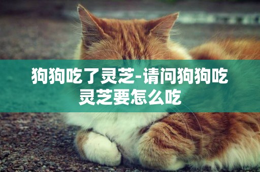 狗狗吃了靈芝-請問狗狗吃靈芝要怎么吃