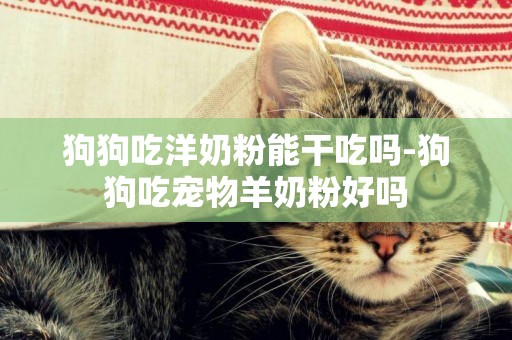 狗狗吃洋奶粉能干吃嗎-狗狗吃寵物羊奶粉好嗎