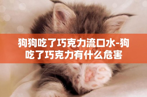 狗狗吃了巧克力流口水-狗吃了巧克力有什么危害