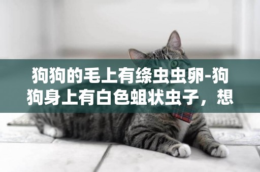 狗狗的毛上有絳蟲蟲卵-狗狗身上有白色蛆狀蟲子，想請教高手。急！！！！