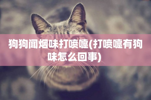 狗狗聞煙味打噴嚏(打噴嚏有狗味怎么回事) 