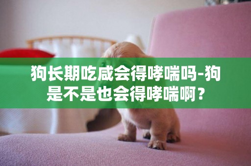 狗長期吃咸會得哮喘嗎-狗是不是也會得哮喘啊？