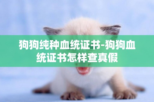 狗狗純種血統證書-狗狗血統證書怎樣查真假