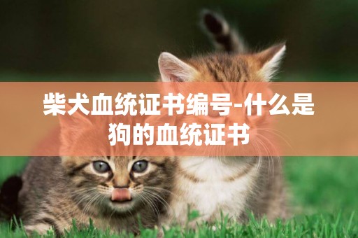 柴犬血統證書編號-什么是狗的血統證書