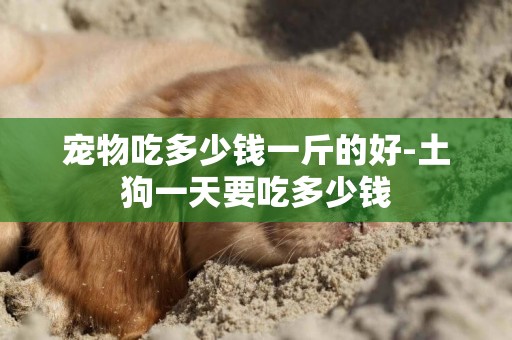 寵物吃多少錢一斤的好-土狗一天要吃多少錢