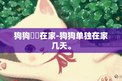 狗狗單獨在家-狗狗單獨在家幾天。