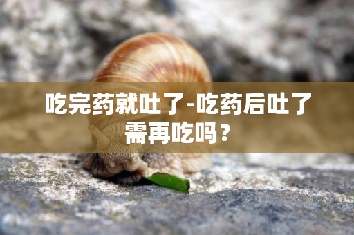 吃完藥就吐了-吃藥后吐了需再吃嗎？