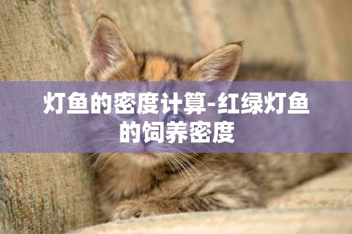 燈魚的密度計算-紅綠燈魚的飼養密度