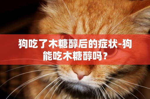 狗吃了木糖醇后的癥狀-狗能吃木糖醇嗎？