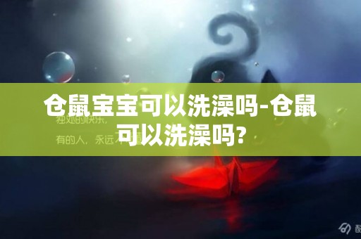 倉鼠寶寶可以洗澡嗎-倉鼠可以洗澡嗎?