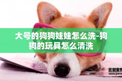 大號的狗狗娃娃怎么洗-狗狗的玩具怎么清洗