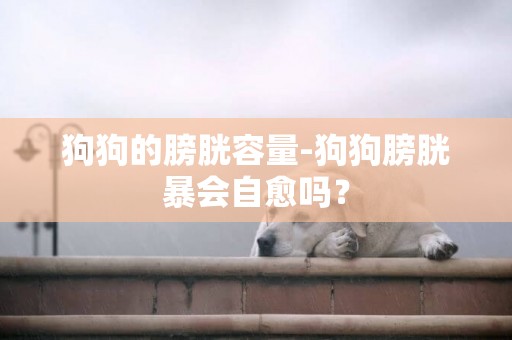 狗狗的膀胱容量-狗狗膀胱暴會自愈嗎？