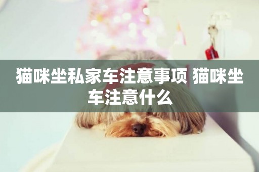 貓咪坐私家車注意事項 貓咪坐車注意什么