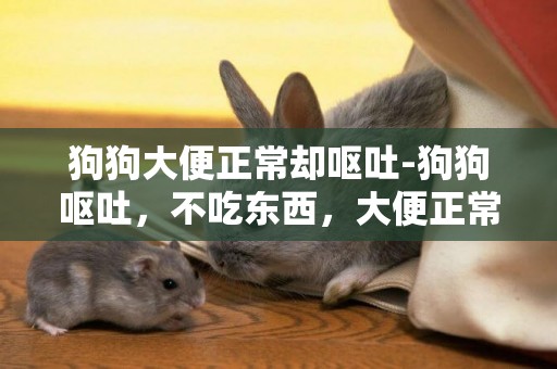 狗狗大便正常卻嘔吐-狗狗嘔吐，不吃東西，大便正常