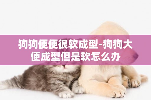 狗狗便便很軟成型-狗狗大便成型但是軟怎么辦