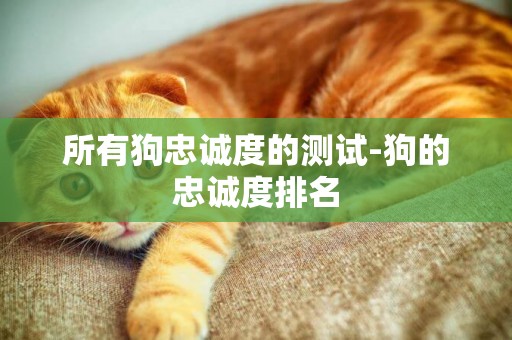 所有狗忠誠度的測試-狗的忠誠度排名