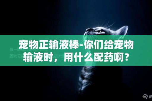 寵物正輸液棒-你們給寵物輸液時，用什么配藥啊？