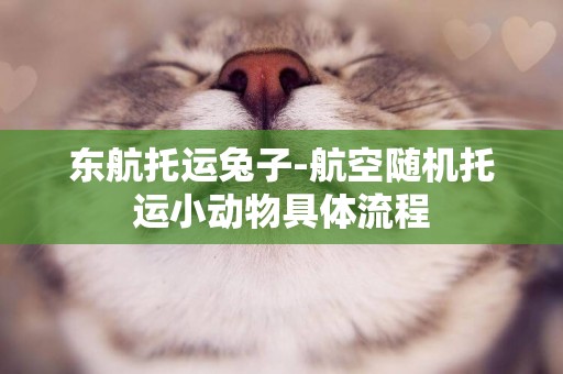 東航托運兔子-航空隨機托運小動物具體流程
