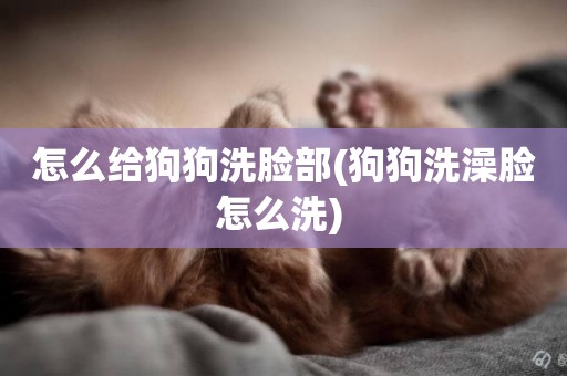 怎么給狗狗洗臉部(狗狗洗澡臉怎么洗) 