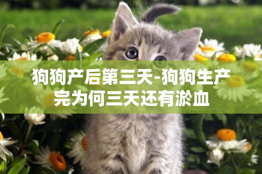 狗狗產后第三天-狗狗生產完為何三天還有淤血