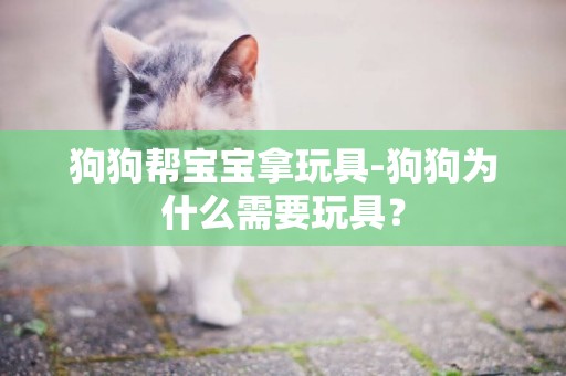 狗狗幫寶寶拿玩具-狗狗為什么需要玩具？