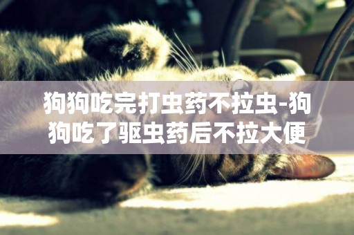 狗狗吃完打蟲藥不拉蟲-狗狗吃了驅蟲藥后不拉大便