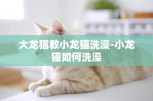 大龍貓教小龍貓洗澡-小龍貓如何洗澡