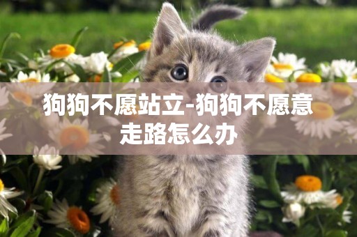 狗狗不愿站立-狗狗不愿意走路怎么辦