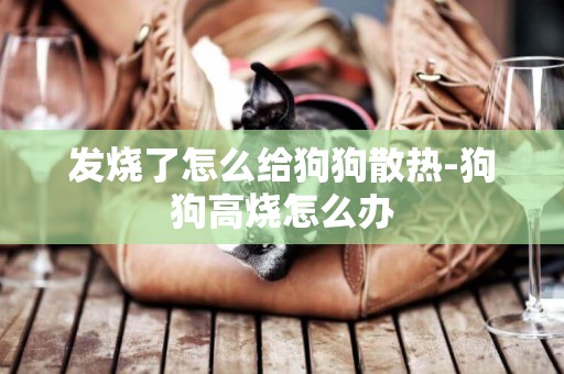 發燒了怎么給狗狗散熱-狗狗高燒怎么辦