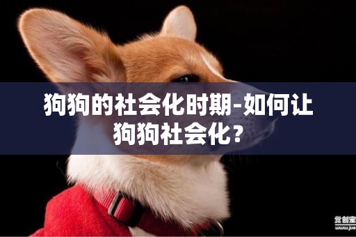 狗狗的社會化時期-如何讓狗狗社會化？