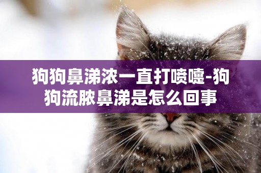 狗狗鼻涕濃一直打噴嚏-狗狗流膿鼻涕是怎么回事