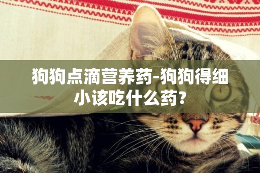 狗狗點滴營養藥-狗狗得細小該吃什么藥？