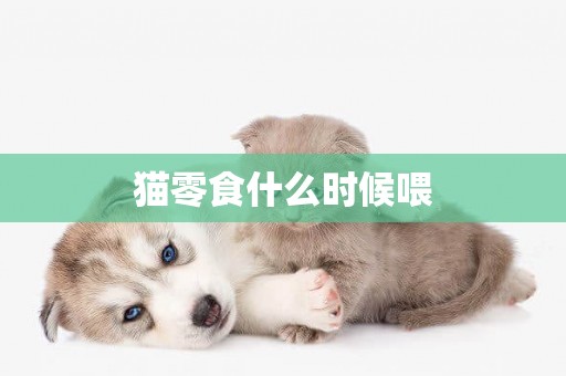 貓零食什么時候喂
