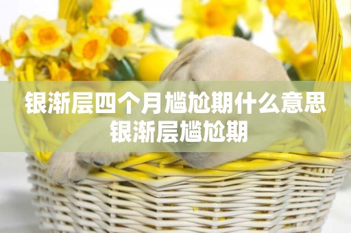 銀漸層四個月尷尬期什么意思 銀漸層尷尬期