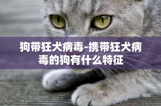 狗帶狂犬病毒-攜帶狂犬病毒的狗有什么特征