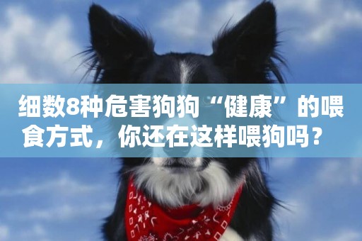 細數8種危害狗狗“健康”的喂食方式，你還在這樣喂狗嗎？ 