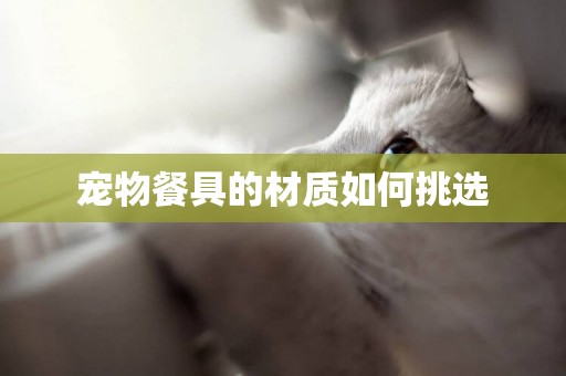 寵物餐具的材質如何挑選